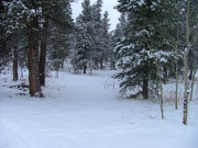 snowy_trail_part_9