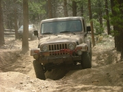 michelle_flexy_part_1