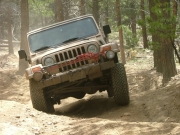 michelle_flexy_part_2