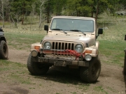 michelle_muddy_part_1