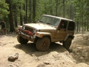 michelle_on_the_trail