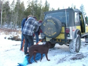 gary_trail_damage_part_2