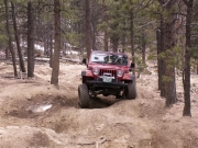 bud_flexing_part_1