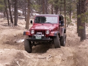 bud_flexing_part_2