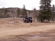 bud_in_scenery