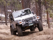 don_flexing_part_1