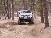 don_flexing_part_2