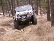 don_flexing_part_3