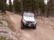 don_on_the_trail