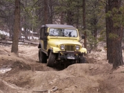 gary_flexing_part_1