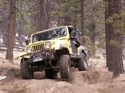 gary_flexing_part_2