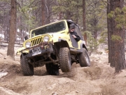 gary_flexing_part_3