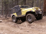 gary_flexing_part_4