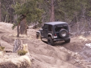 jed_up_whoopdeedoos_part_5