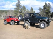 jeeps
