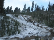 stump_hill_part_2
