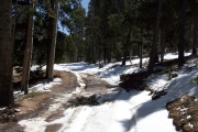snow_on_the_trail_part_2