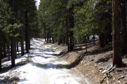 snow_on_the_trail_part_3