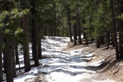 snow_on_the_trail_part_4