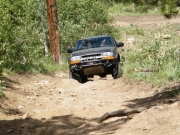 walt_up_the_hill_part_1