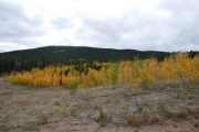 aspens_part_1