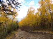 down_to_the_gulch