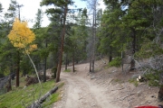 downhill_section