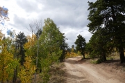 early_trail