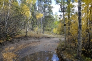 muddy_water
