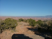 little_trail