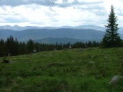 big_view