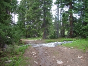 creek_crossing