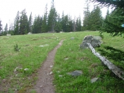 hiking_trail