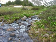 mountain_stream