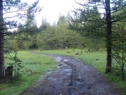 muddy_trail
