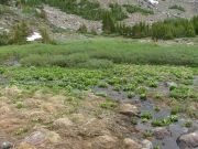 slide_lake_overflow