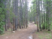 start_of_the_trail