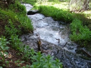 stream_part_2