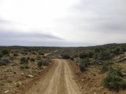 through_the_desert