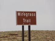 wiregrass_trail_sign