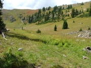 basin