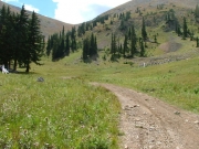 meadow