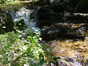 river_in_the_sun