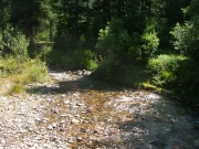 swan_river