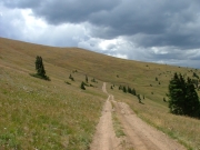 trail_in_the_distance