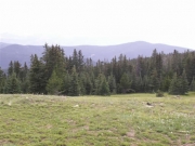 mountain_view_part_1