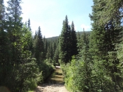 river_crossing_part_1