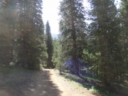start_of_the_trail