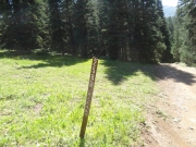 trailhead_carsonite