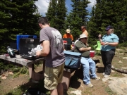 bbq_part_1